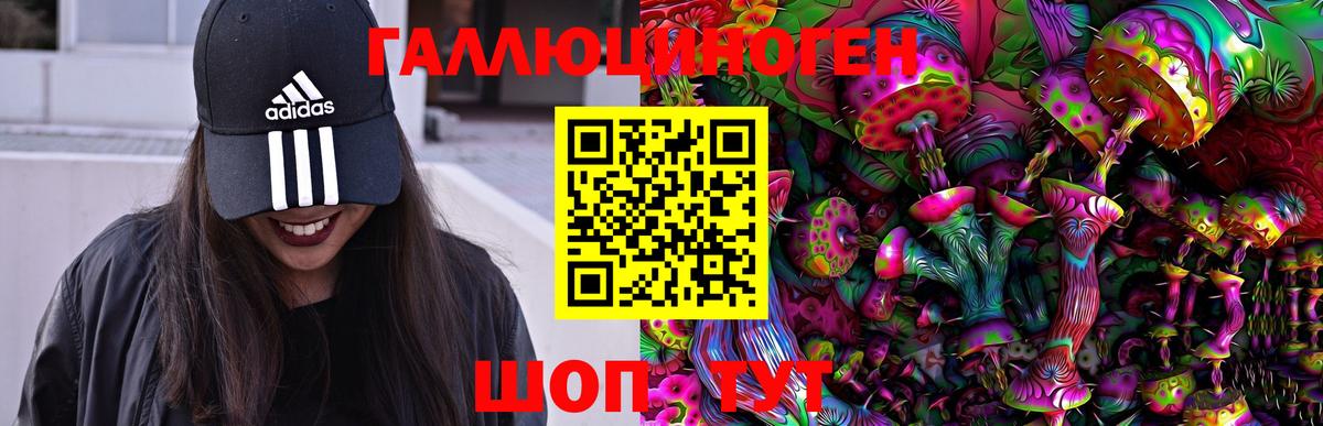 Галлюциногенные грибы Psilocybe  Вход с VPN  Калач-на-Дону 