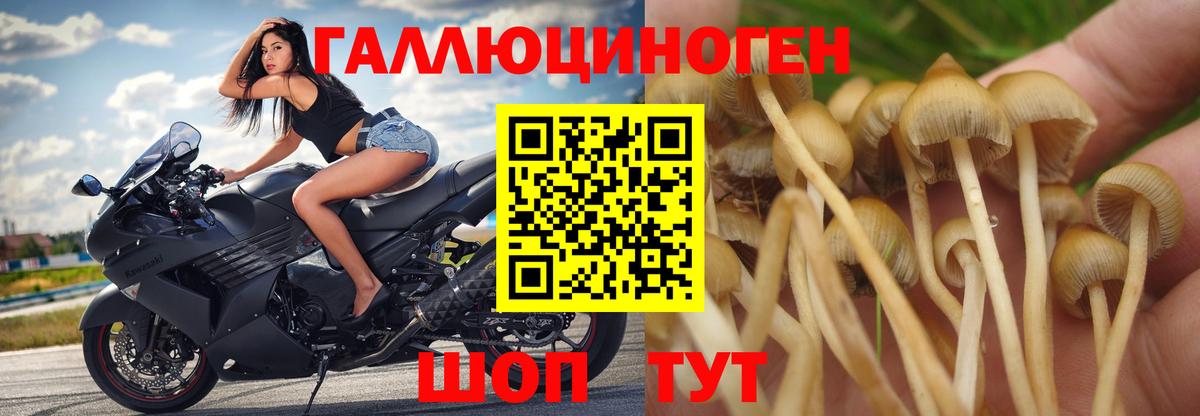 MDMA  Калач-на-Дону  Лсд 25  Вход с VPN  Гашиш  Кокаин  Амфетамин   Меф кристаллы  МАРИХУАНА 