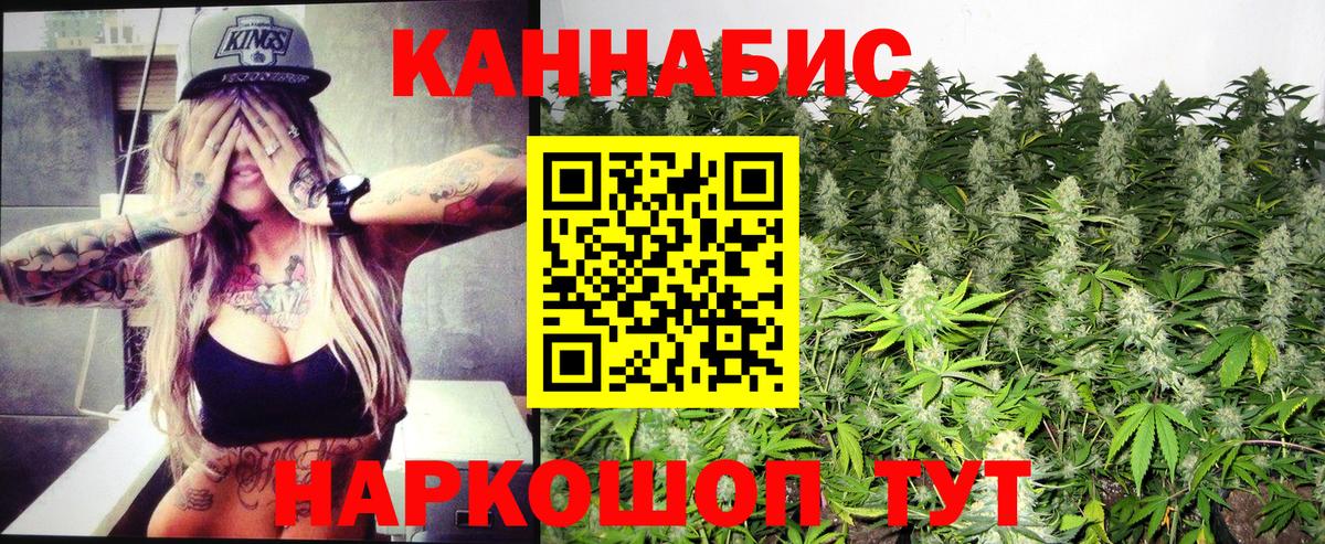 Бошки марихуана Bruce Banner  МАРИХУАНА планчик  Вход с VPN  МАРИХУАНА White Widow  Калач-на-Дону 